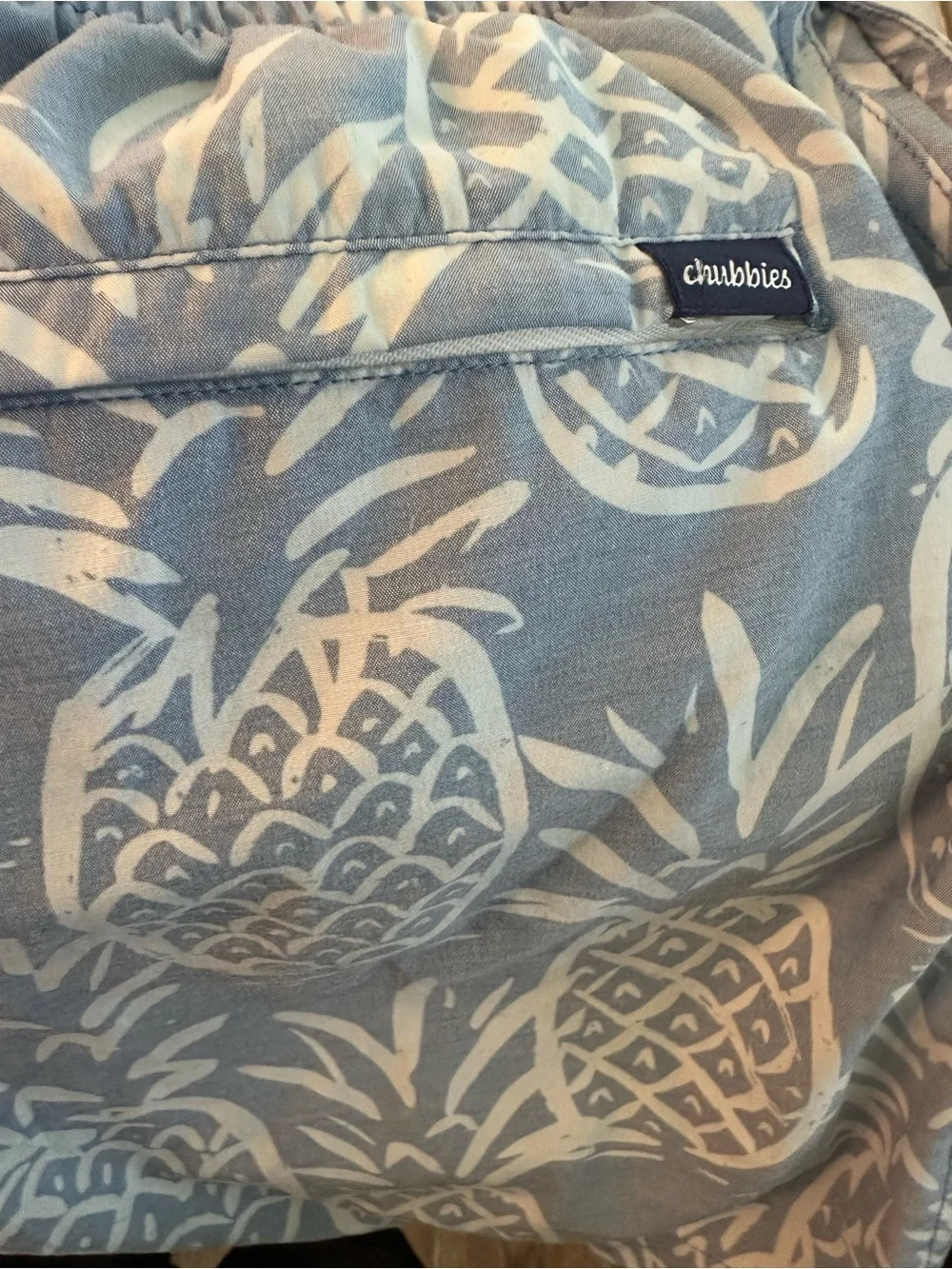 chubbies The Thigh-napples stretch 5.5 inch bathing suit.  Looks new